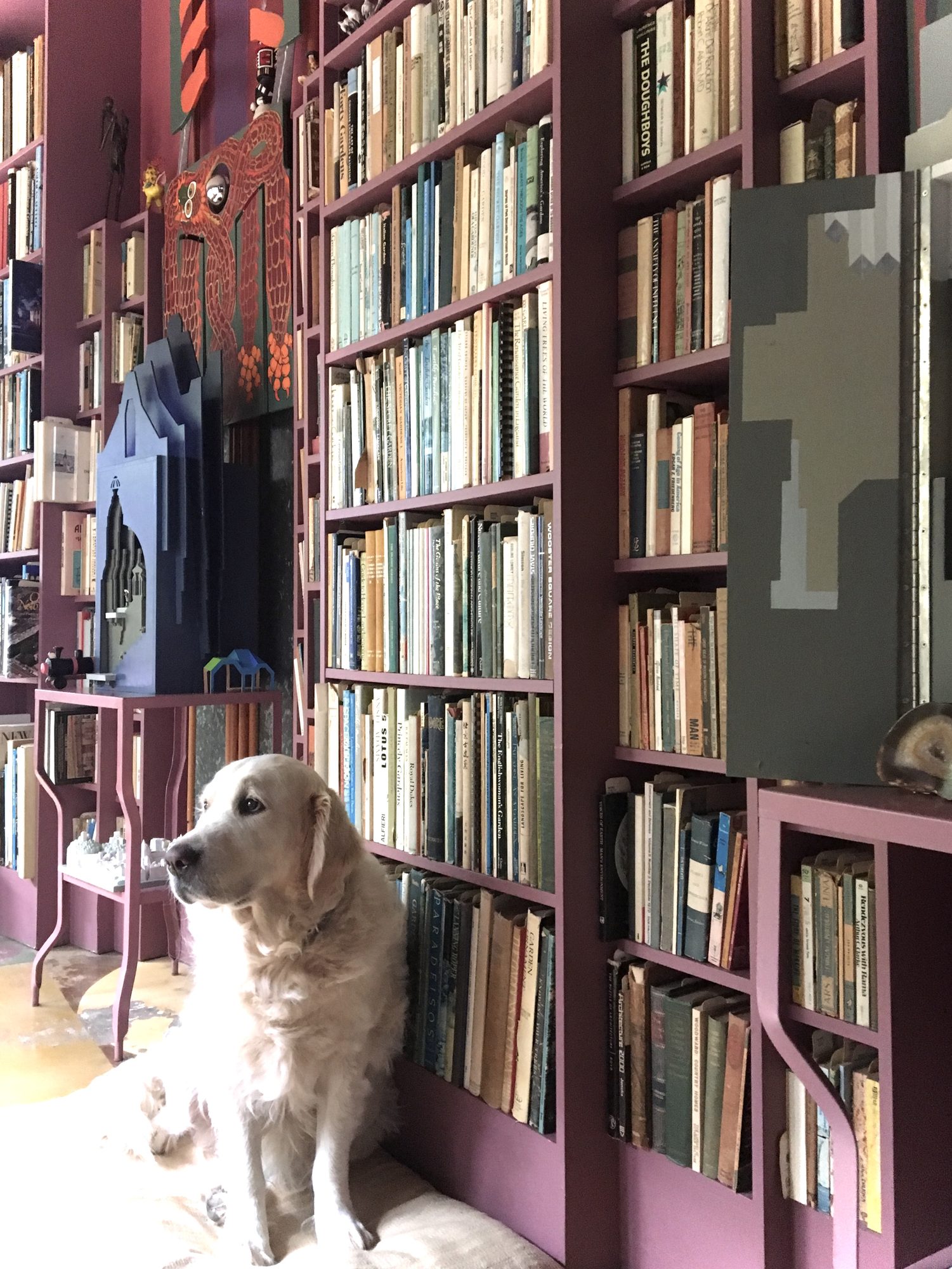 Logan in the library